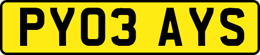 PY03AYS