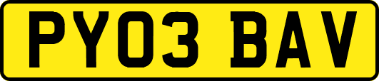 PY03BAV
