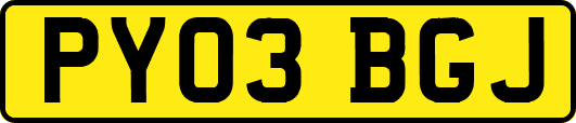 PY03BGJ