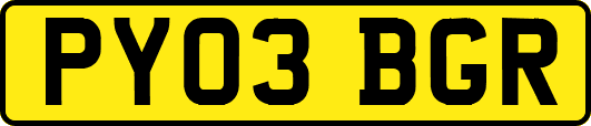 PY03BGR