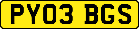 PY03BGS