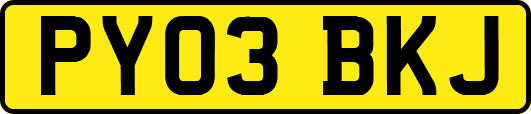 PY03BKJ