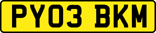 PY03BKM