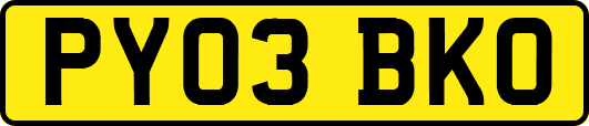 PY03BKO