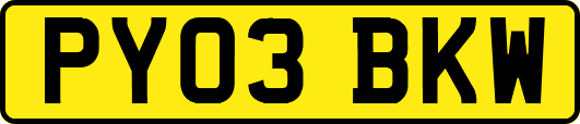 PY03BKW