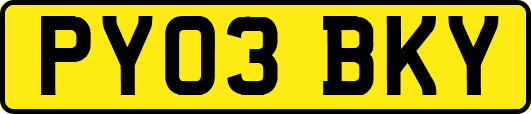 PY03BKY