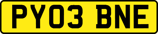 PY03BNE