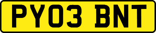 PY03BNT