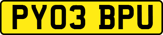 PY03BPU
