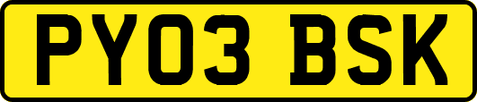 PY03BSK