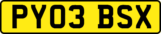 PY03BSX