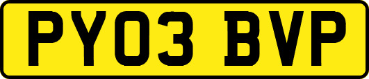 PY03BVP