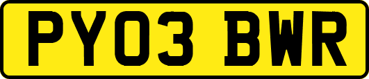 PY03BWR