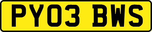 PY03BWS