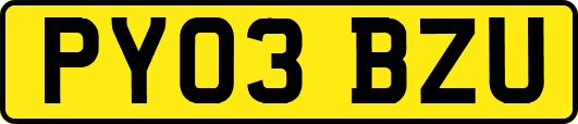 PY03BZU