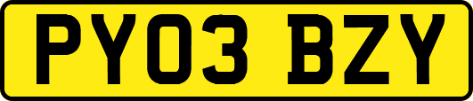 PY03BZY