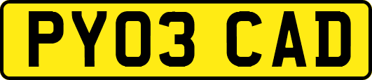 PY03CAD