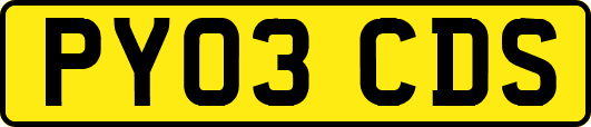 PY03CDS
