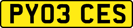 PY03CES