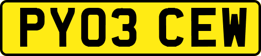 PY03CEW