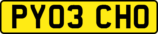 PY03CHO