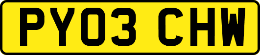 PY03CHW
