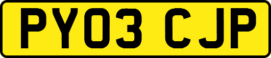 PY03CJP