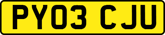 PY03CJU