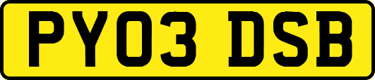 PY03DSB