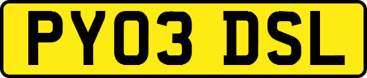 PY03DSL