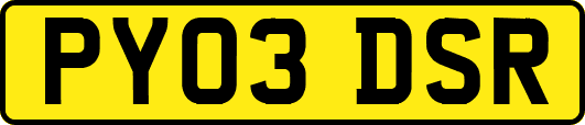 PY03DSR