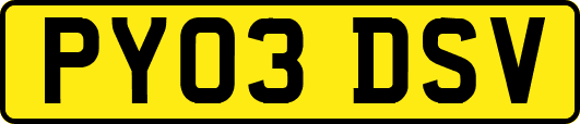 PY03DSV