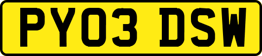 PY03DSW