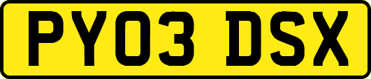 PY03DSX