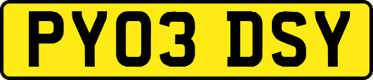 PY03DSY