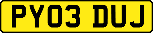 PY03DUJ