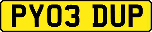 PY03DUP