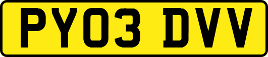 PY03DVV