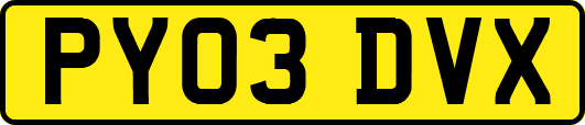 PY03DVX