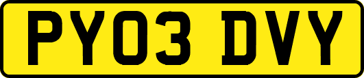PY03DVY