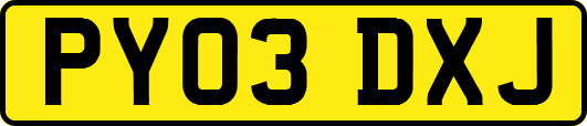 PY03DXJ