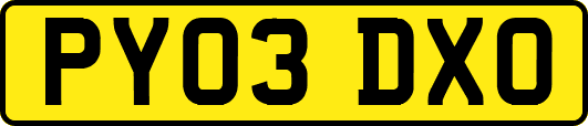 PY03DXO