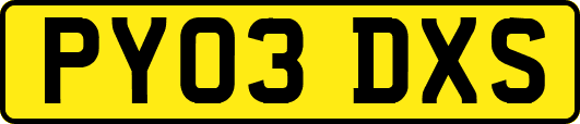 PY03DXS