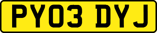 PY03DYJ