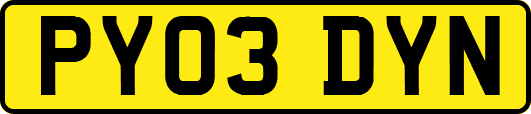 PY03DYN