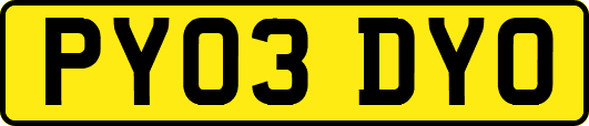 PY03DYO
