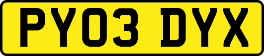 PY03DYX