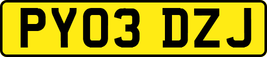 PY03DZJ