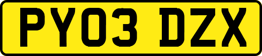 PY03DZX