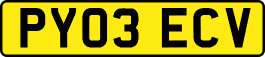 PY03ECV